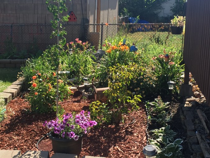 Garden 7-22-17